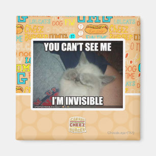 Íman Eu sou invisível