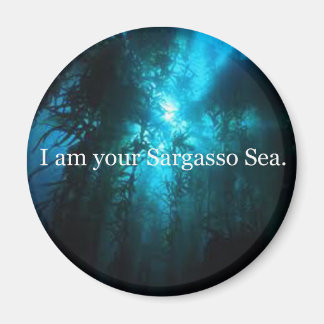 Íman Eu Sou Seu Mar De Sargaço