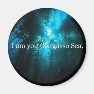 Íman Eu sou seu mar do sargaço