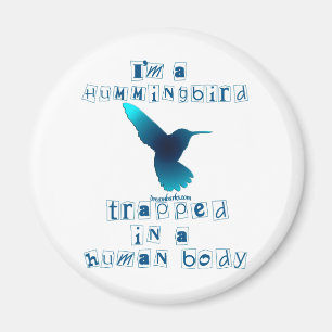 Íman Eu sou um colibri
