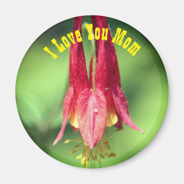 Íman Eu Te Amo Mãe Flor de Columbine  (Frente)