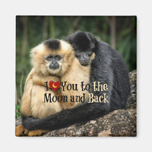 Íman Eu te amo na lua e de volta