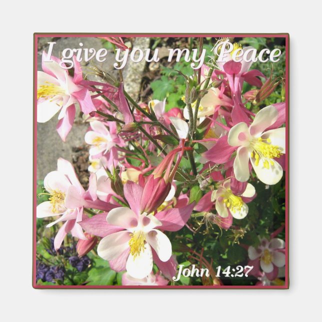 Íman "Eu te dou a minha Paz!" (Frente)