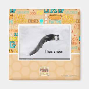 Íman Eu tenho a neve