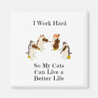 Íman Eu Trabalho Duro Para Meus Gatos Viverem Uma Vida