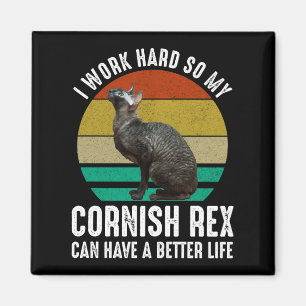 Íman Eu Trabalho Duro Para Que Meu Cornish Rex Tenha Um