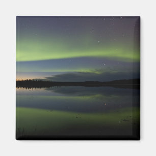 Íman EUA, Alasca, Círculo Ártico, Bettles. A