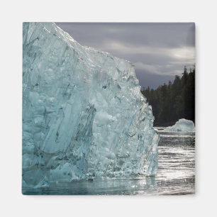 Íman EUA, Alasca, Floresta Nacional Tongass, Tracy 2