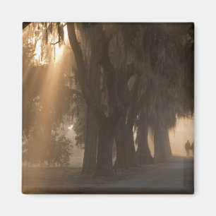 Íman EUA;América do Norte; Geórgia; Savannah. Rapazes