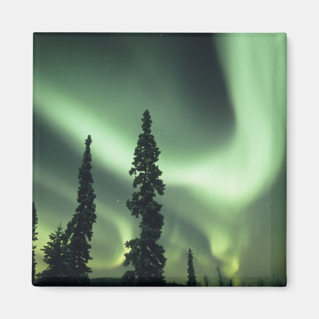 Íman EUA, área de Fairbanks, Alaska Central, Aurora 2 (Frente)