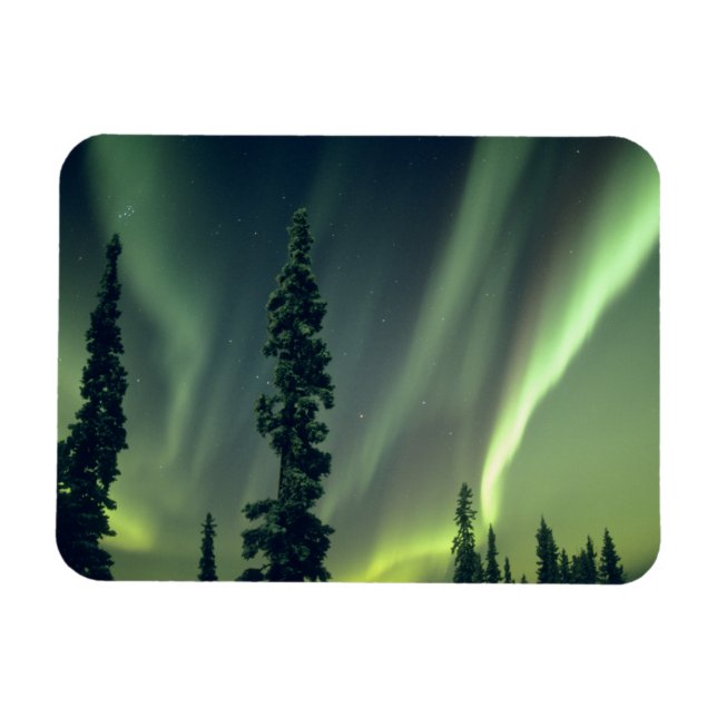 Íman EUA, área de Fairbanks, centro do Alasca, Aurora (Horizontal)