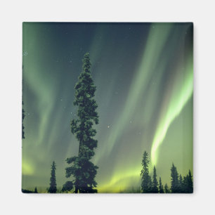 Íman EUA, área de Fairbanks, centro do Alasca, Aurora