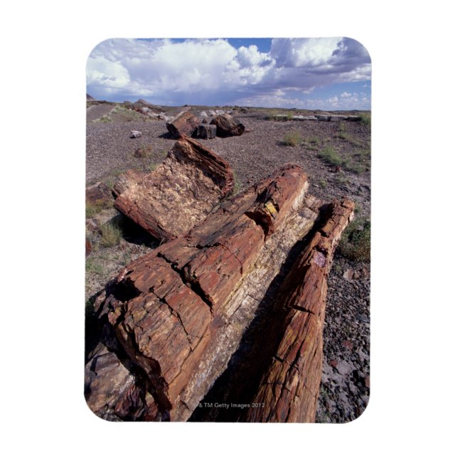 Íman EUA, Arizona, Petrified Forest National Park, 2 (Vertical)