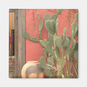 Íman EUA, Arizona, Tucson: Distrito Histórico Presidio