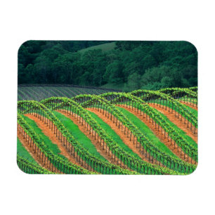 Íman EUA, Califórnia, condado de Mendocino, um