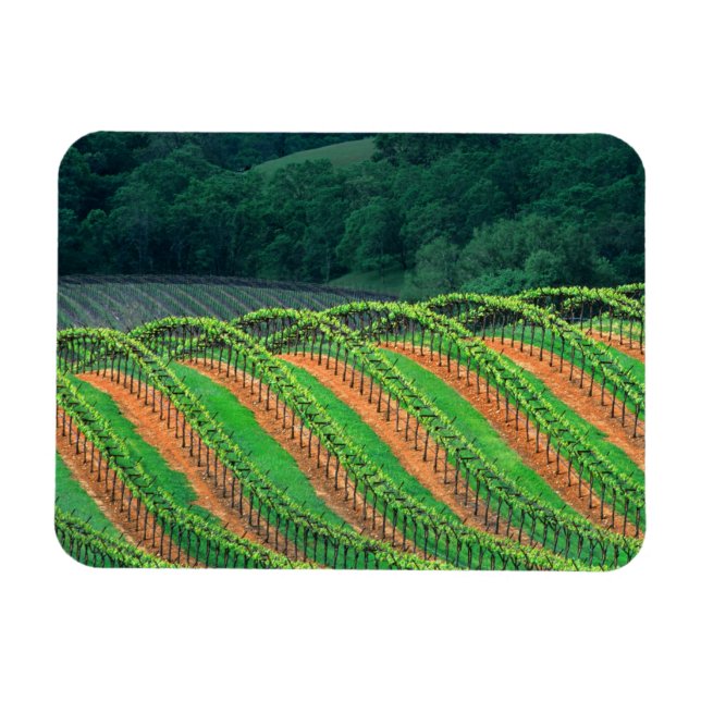 Íman EUA, Califórnia, condado de Mendocino, um (Horizontal)