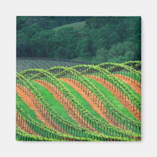 Íman EUA, Califórnia, condado de Mendocino, um