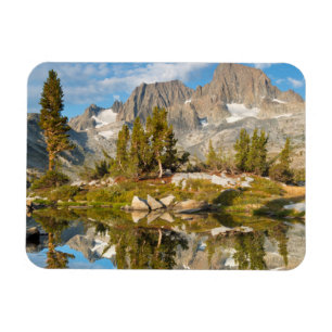 Íman EUA, Califórnia, Inyo National Forest 13