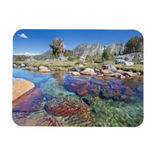 Íman EUA, Califórnia, Inyo National Forest 4