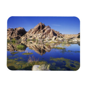 Íman EUA, California, Joshua Tree National Park,