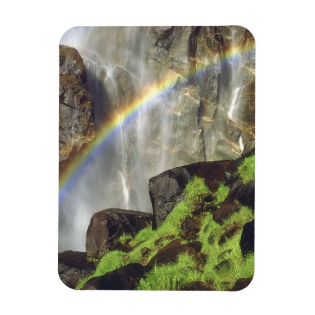 Íman EUA, Califórnia, Parque Nacional de Yosemite. A (Vertical)