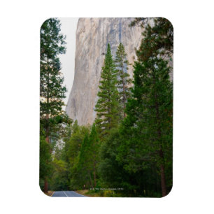 Íman EUA, Califórnia, parque nacional de Yosemite, EL