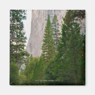 Íman EUA, Califórnia, parque nacional de Yosemite, EL 