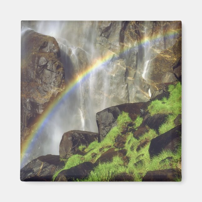 Íman EUA, Califórnia, Parque Nacional de Yosemite. Um (Frente)
