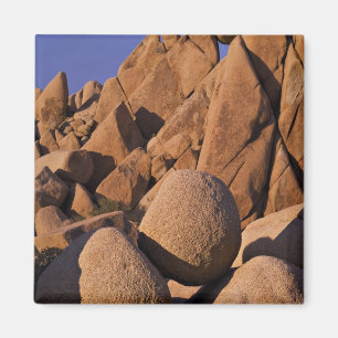 Íman EUA, Califórnia, Parque Nacional Joshua Tree.