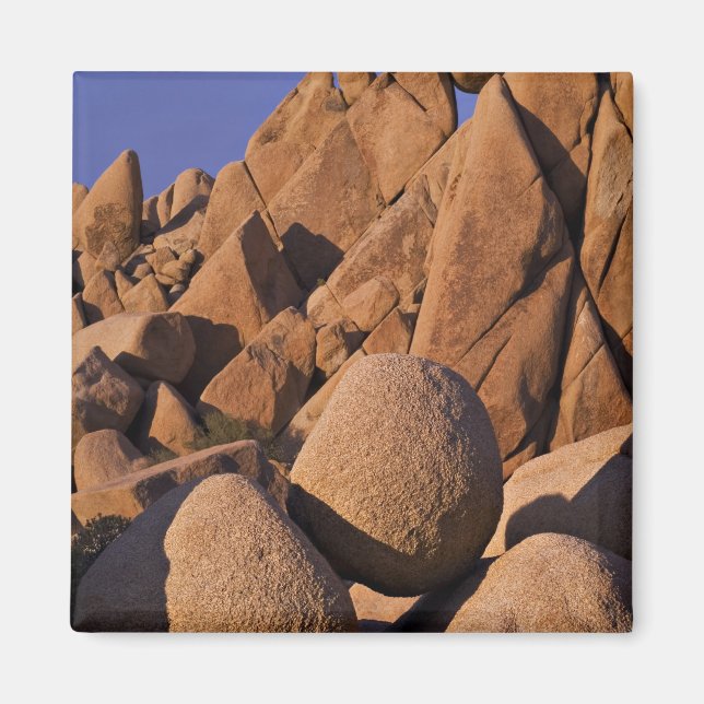 Íman EUA, Califórnia, Parque Nacional Joshua Tree. (Frente)
