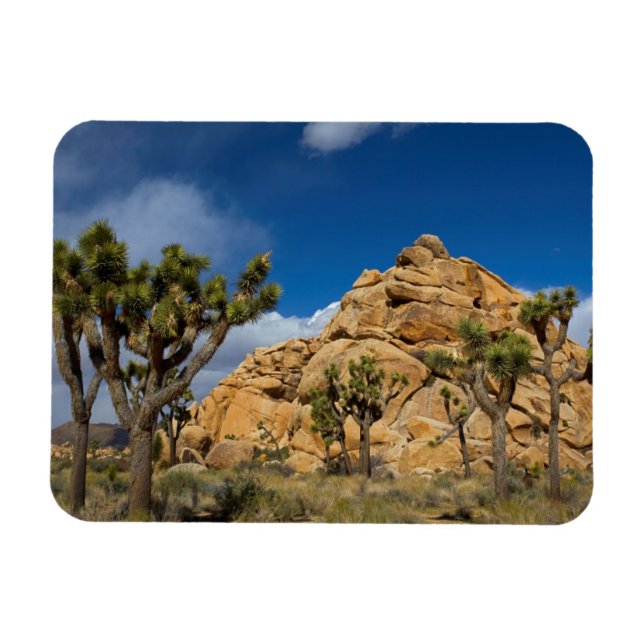Íman EUA, Califórnia, Parque Nacional Joshua Tree (Horizontal)