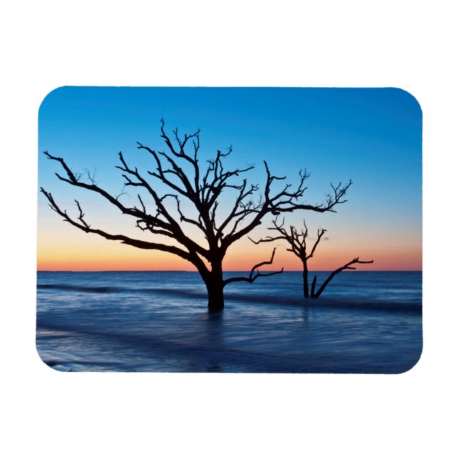 Íman EUA, Carolina do Sul, Edisto Island, Botany Bay (Horizontal)