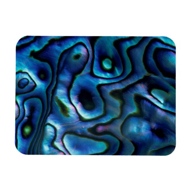 Íman EUA, Colorado, Lafayette. Concha de abalone (Horizontal)