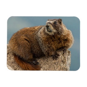 Íman EUA, Colorado, San Juan Mountains 2