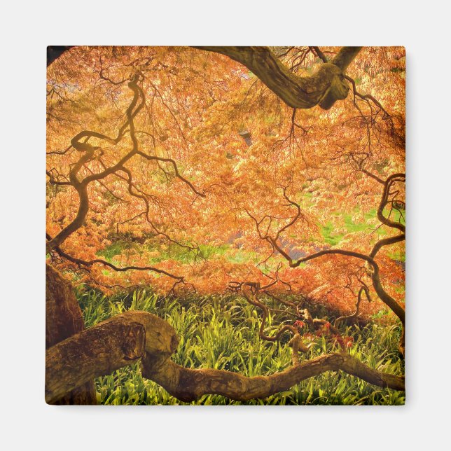 Íman EUA, Delaware, Wilmington. Mapa japonês (Frente)