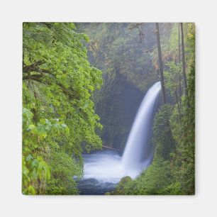 Íman EUA, Eagle Creek, Columbia Gorge, Oregon.