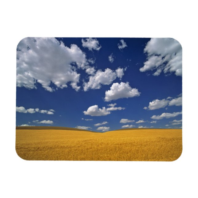 Íman EUA, Estado de Washington, Colfax. Encontro de cev (Horizontal)