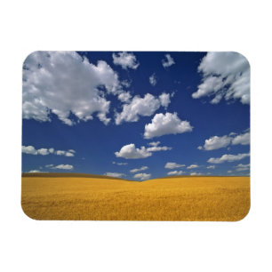 Íman EUA, Estado de Washington, Colfax. Reúne cevada