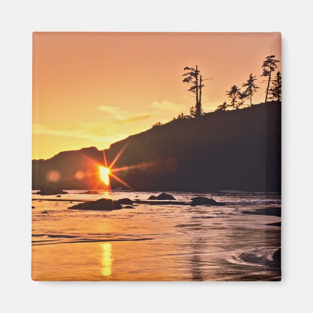 Íman EUA, Estado de Washington, Parque Nacional Olimpia (Frente)