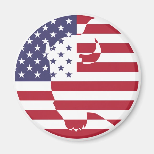 Íman EUA Estados Unidos Buffalo Bison Americano (Frente)