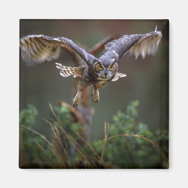 Íman EUA, Geórgia, Pine Mountain, Jardins Callaway. (Frente)