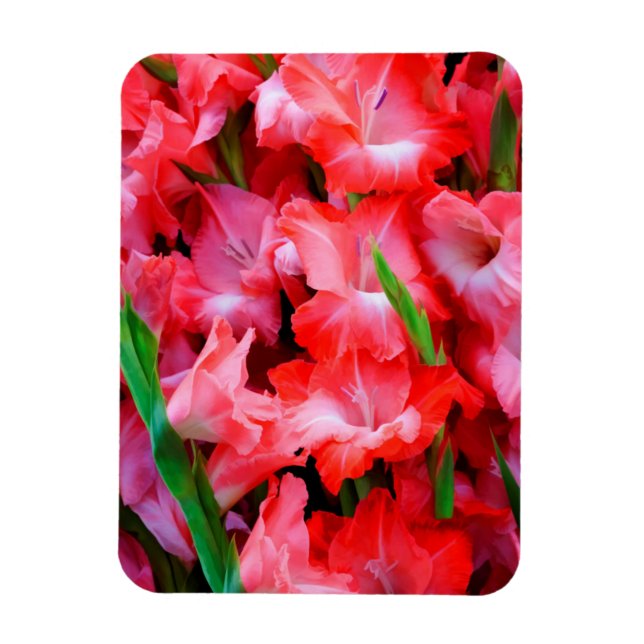 Íman EUA, Geórgia, Savannah, Buquê de Gladiolus (Vertical)