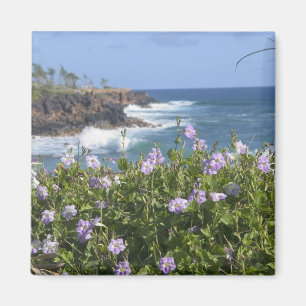 Íman EUA, Havaí, Kauai, perto de Kapaa, noroeste