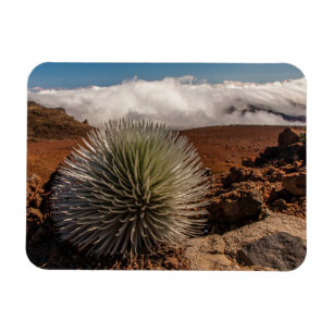 Íman EUA, Havaí, Maui, Parque Nacional Haleakala