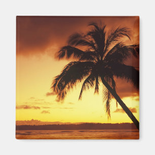Íman EUA, Havaí, Maui, Pôr do sol colorido em um