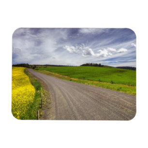 Íman EUA, Idaho, Condado de Idaho, Campo de Canola