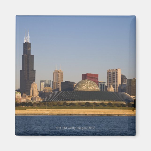 Íman EUA, Illinois, Chicago, linha do horizonte da cida (Frente)