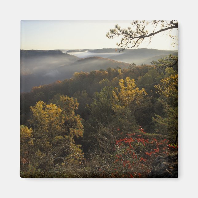 Íman EUA, Kentucky. Floresta Nacional Daniel Boone. (Frente)