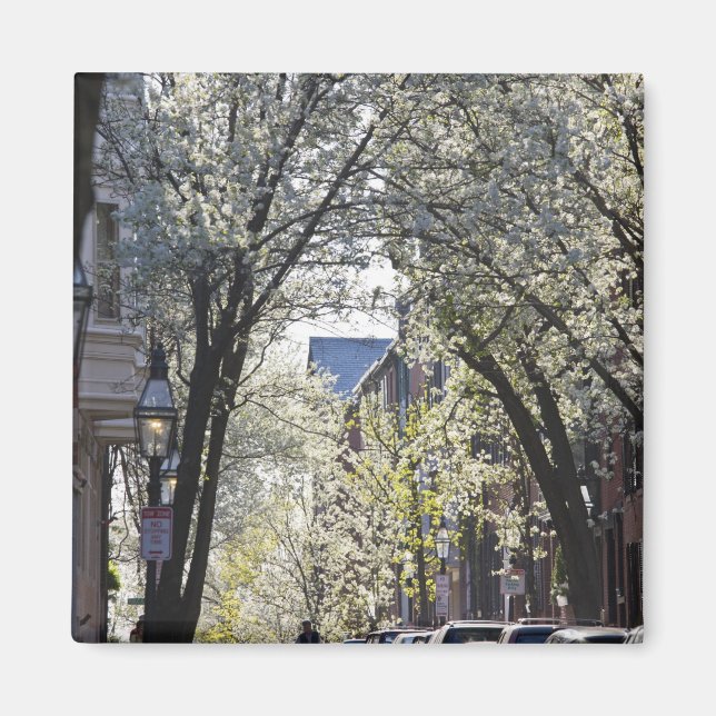 Íman EUA, Massachusetts, Boston, Beacon Hill. (Frente)