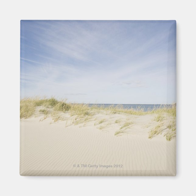 Íman EUA, Massachusetts, Cape Cod, Nantucket, Sandy (Frente)